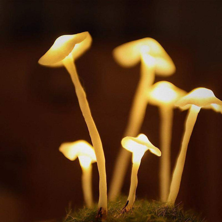 Drewniana podstawa lampki nocnej grzyb LED. Solidna i elegancka dekoracja wnętrz.