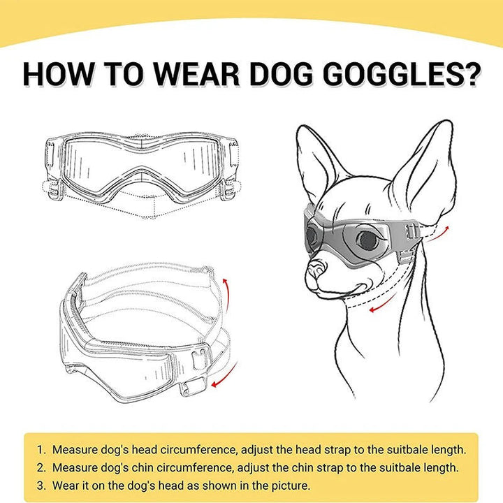 Okulary ochronne dla małych psów. Gogle UV dla psa, idealne do ochrony oczu pupila podczas aktywności.