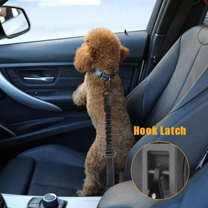 Łatwy montaż pasów bezpieczeństwa dla psa w samochodzie, kluczowe akcesoria do bezpiecznego transportu.
