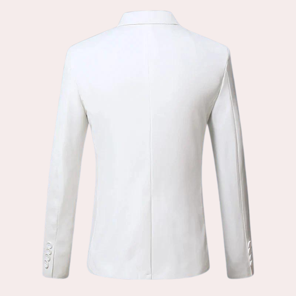 Modna męska marynarka slim fit Ariston, idealna do biznesowych stylizacji i na codzienne wyjścia.