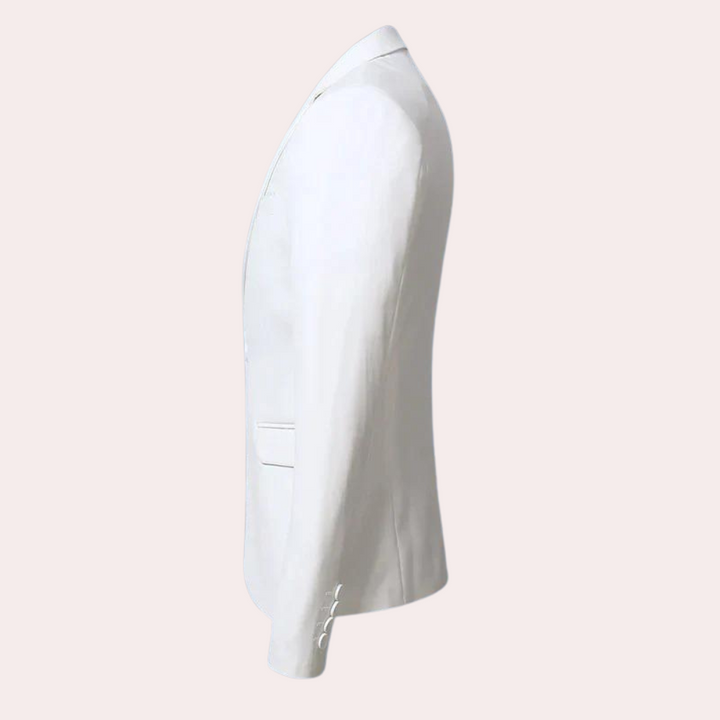 Elegancka męska marynarka slim fit Ariston. Jednorzędowy blazer męski, idealny do odzieży biznesowej.