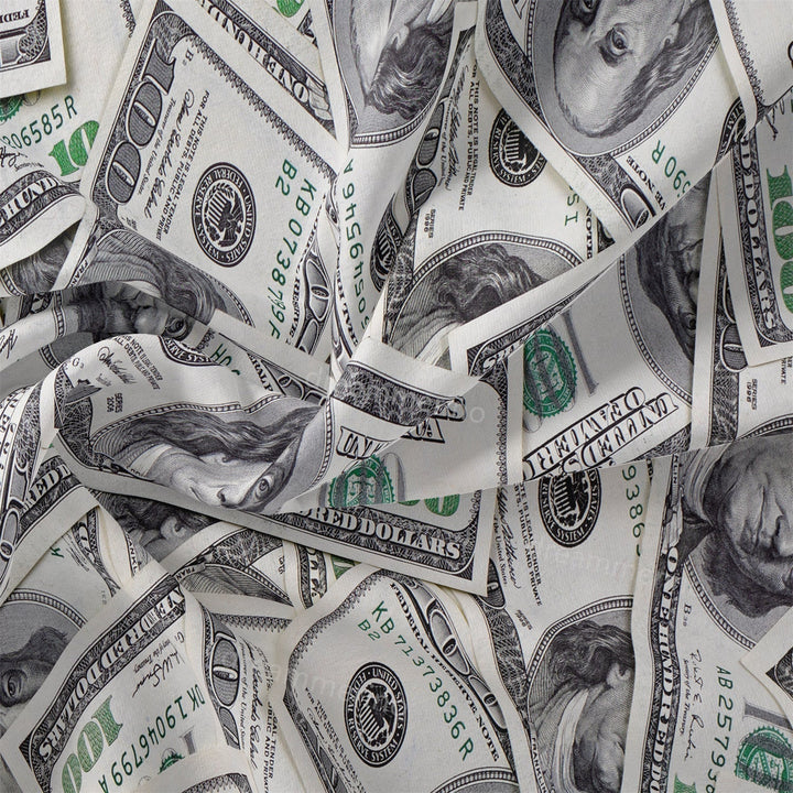 Detail kompletu pościeli dolarowej: wyraźny nadruk banknotów i wysokiej jakości tkanina z zamkiem.
