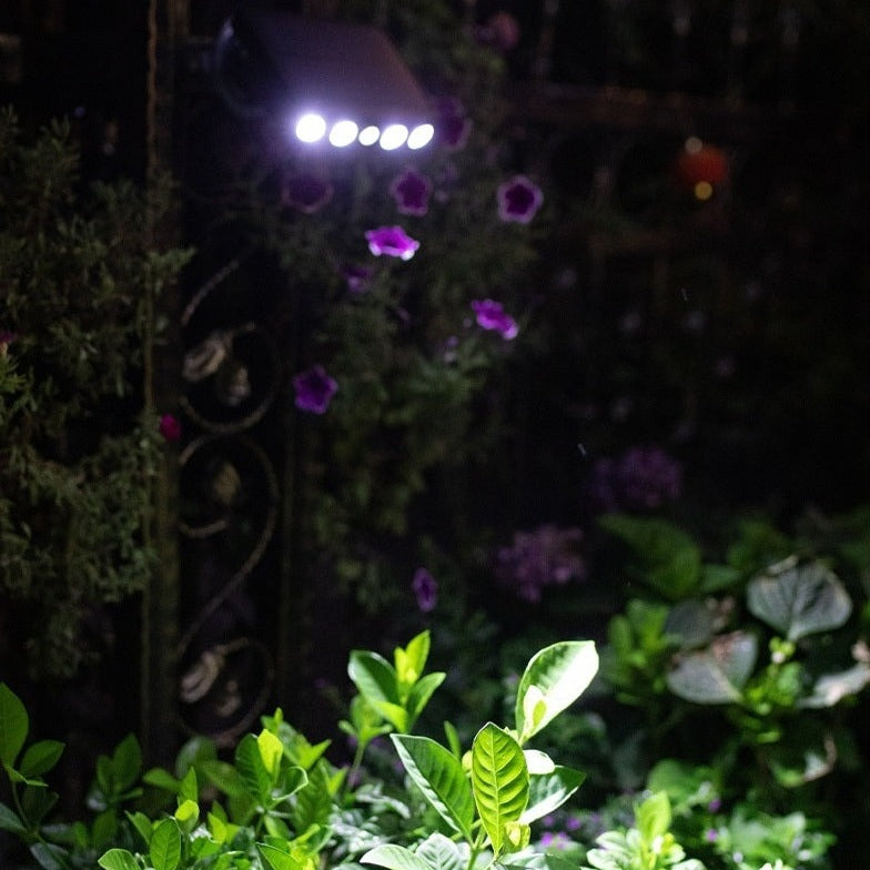 Energooszczędna lampa solarna na ścianę z czujnikiem ruchu, do automatycznego oświetlenia zewnętrznego.